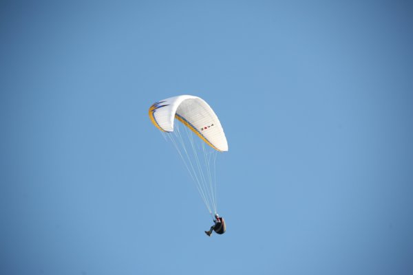 img_9877.jpg